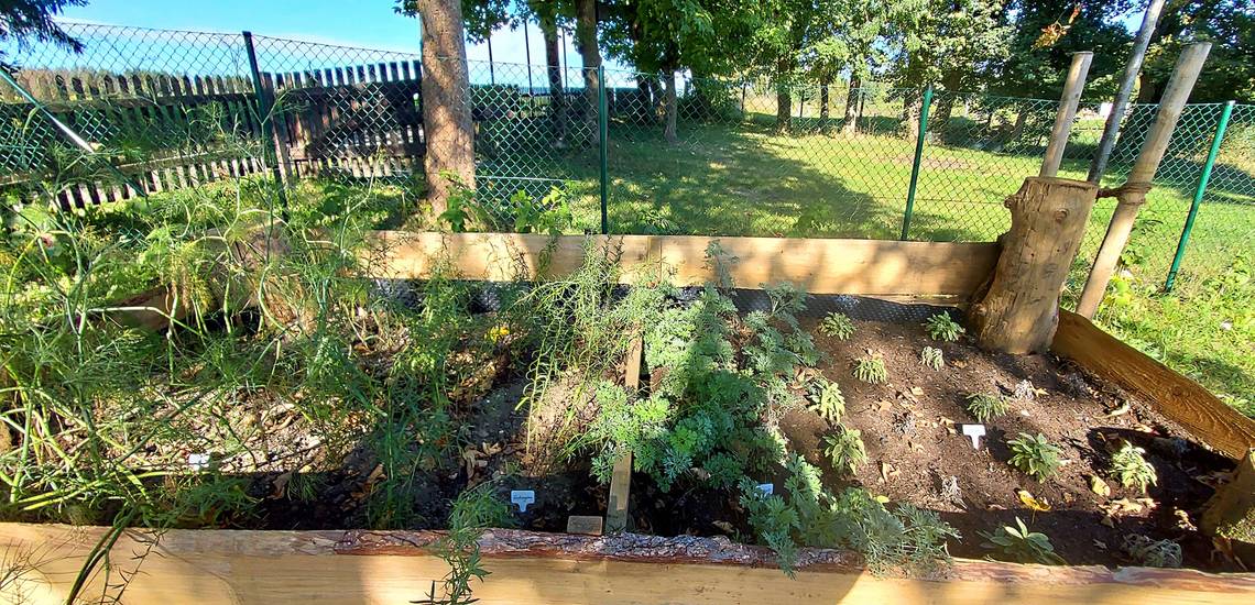 EWILPA Harz in Benneckenstein wildpflanzenpark