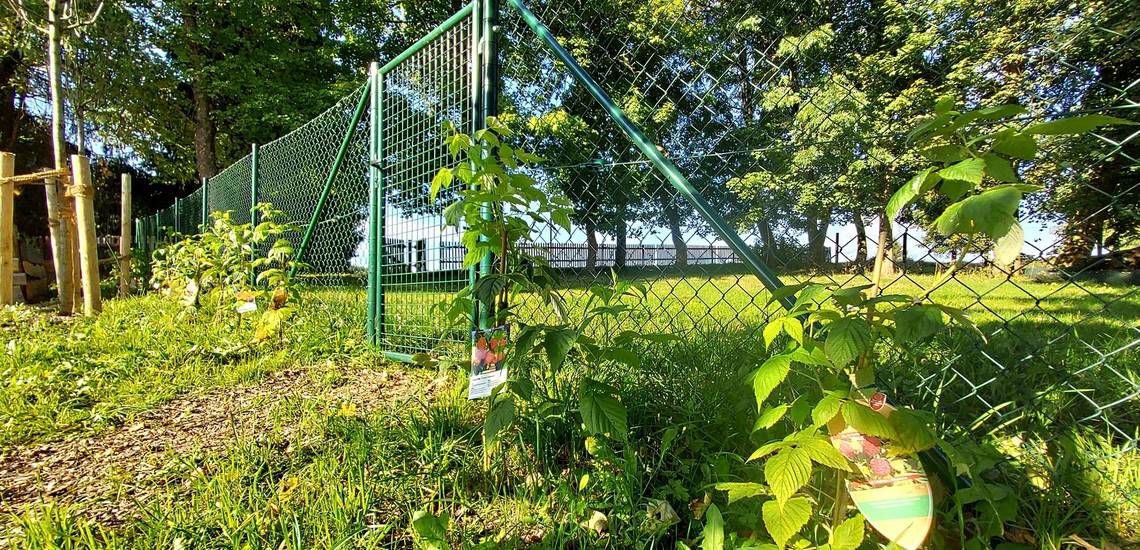 EWILPA - Wildpflanzenschule wildpflanzenpark benneckenstein