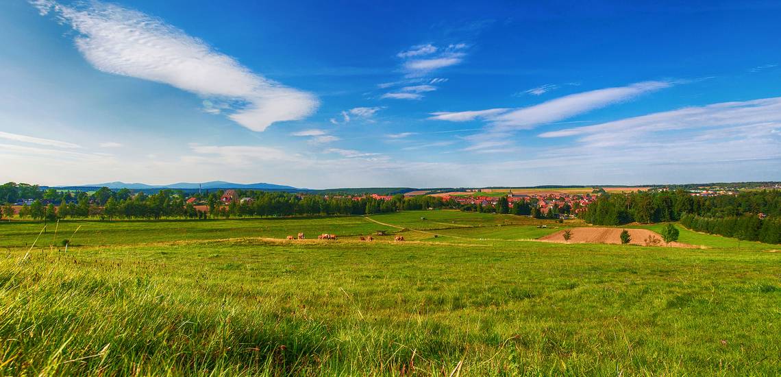 blick auf hasselfelde oben im harz