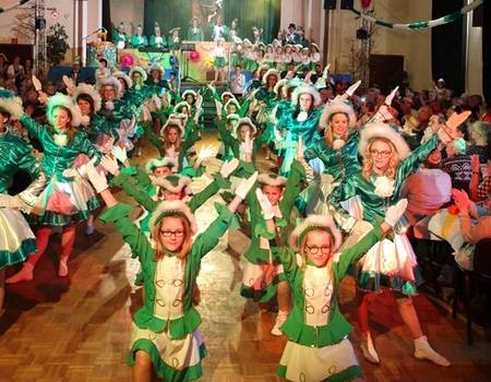 ecv elbinger der carneval verein 01