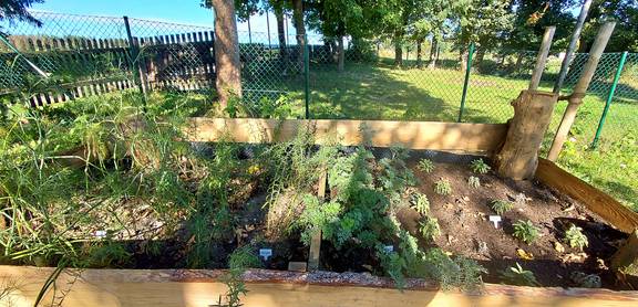 EWILPA Harz in Benneckenstein wildpflanzenpark